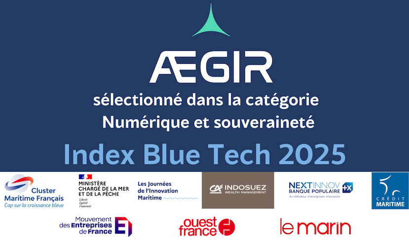 French Blue Tech Index